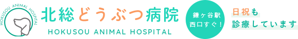 北総どうぶつ病院のホームページが新しくなりました。｜鎌ヶ谷で動物病院をお探しなら北総どうぶつ病院へ